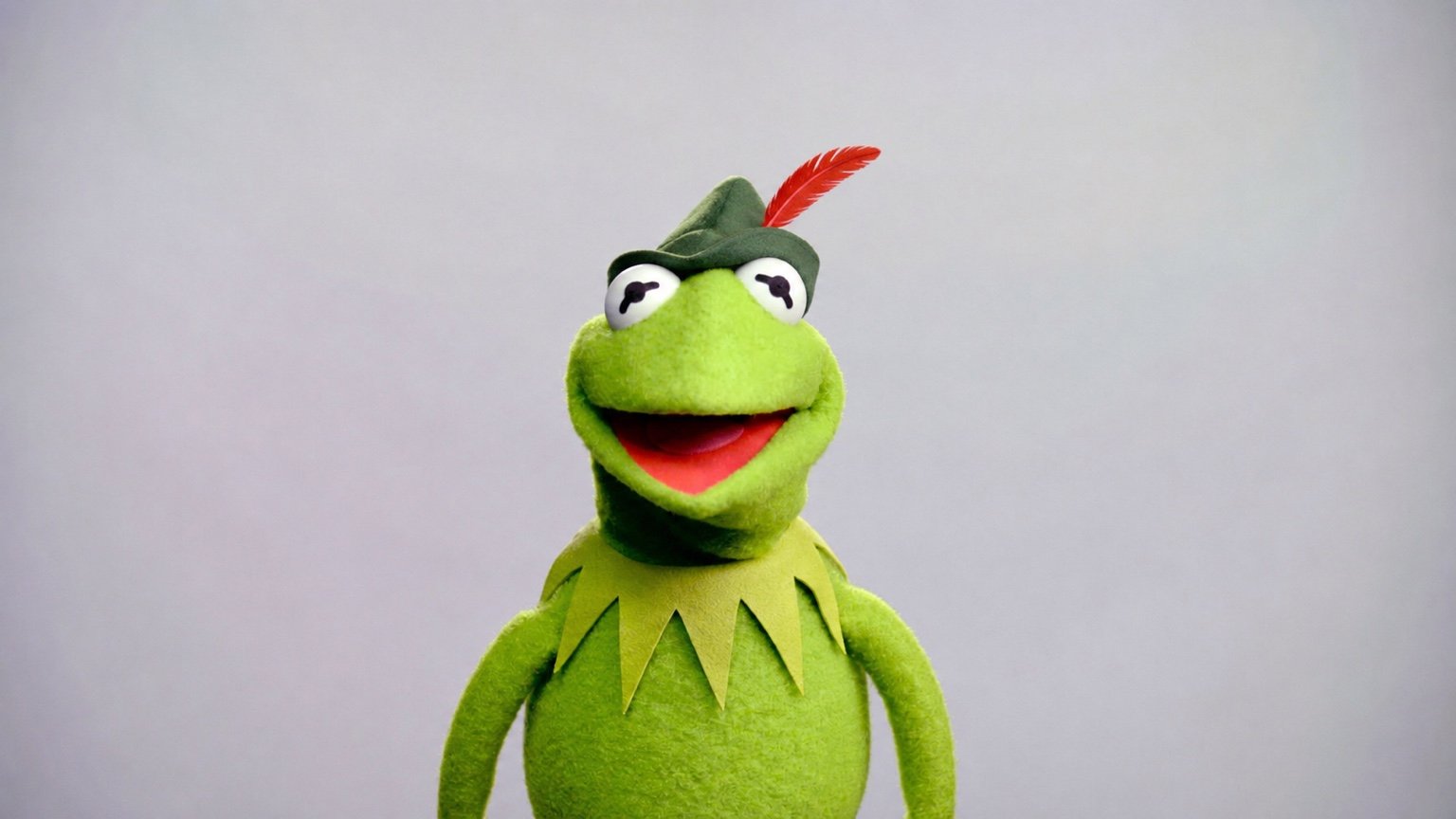 Kermit portrait on a soft gray background